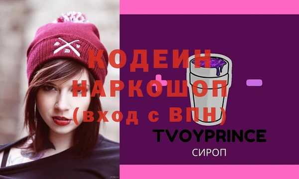 хмурый Алзамай