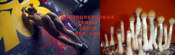 spice Алексин
