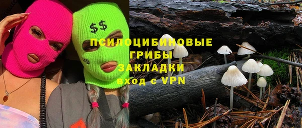 spice Алексин