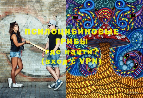 spice Алексин