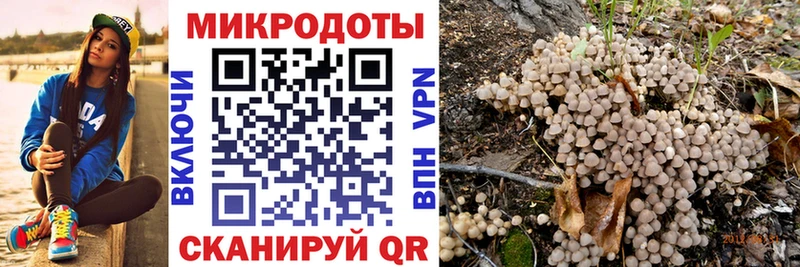наркотики Берёзовский гидра Галлюциногенные грибы ЛСД